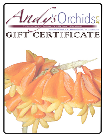 Andy's Orchids gift certificate