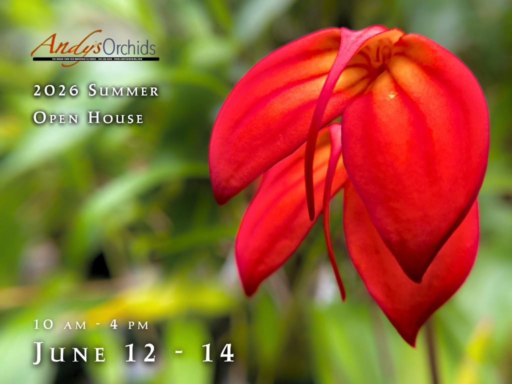 Open House