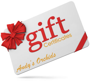 Gift certificate