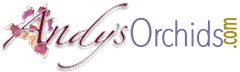 Andy's Orchids logo